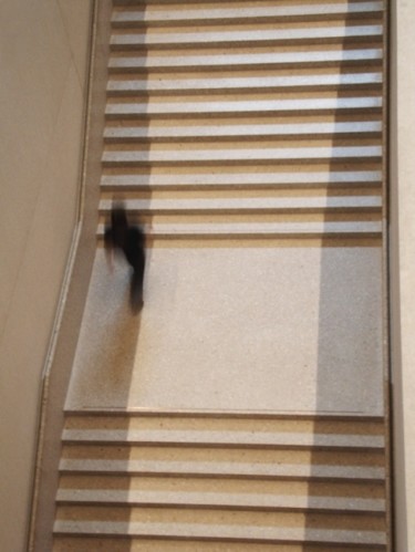 Fotografie getiteld "stairs" door Emmanuel Jahan, Origineel Kunstwerk