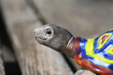 Escultura intitulada "tortue bleue/anis" por Emmanuelle Bernard, Obras de arte originais, Cerâmica