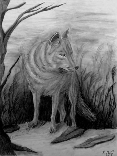 Tekening getiteld "Wolf" door Emmanuelle Menny Fleuridas, Origineel Kunstwerk, Potlood