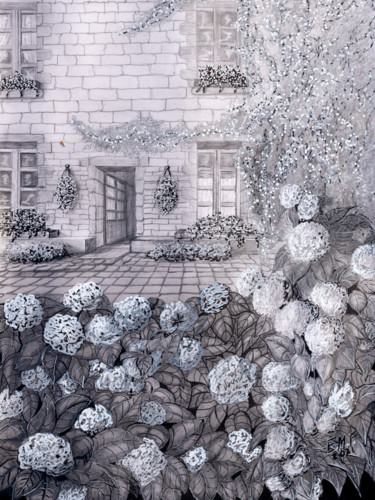 Dessin intitulée "Hortensias à Locron…" par Emmanuelle Menny Fleuridas, Œuvre d'art originale, Graphite