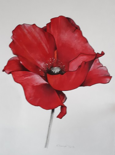 Drawing titled "Coquelicot" by Emmanuelle Kempf, Original Artwork, Marker
