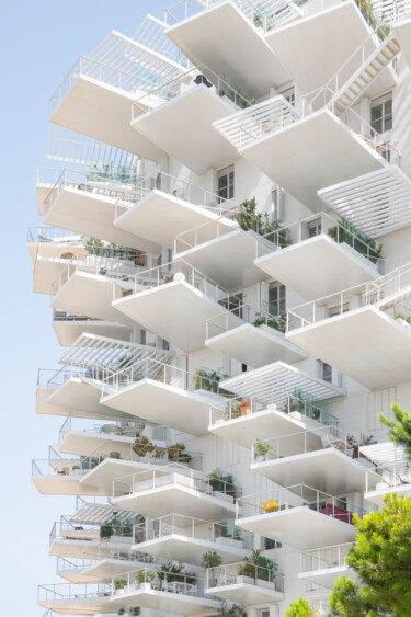 Fotografía titulada "l'arbre blanc sud (…" por Emmanuel Passeleu, Obra de arte original, Fotografía digital