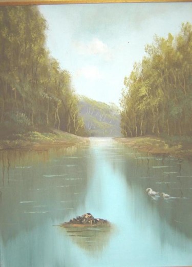 "göl" başlıklı Tablo Eminey tarafından, Orijinal sanat