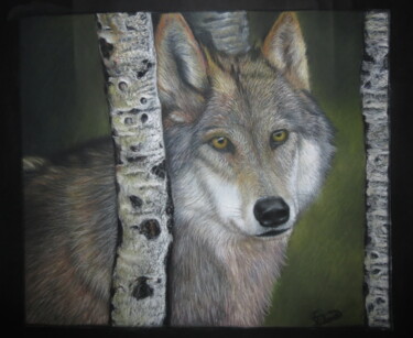 Peinture intitulée "Wolf in the forest" par Emre Demir, Œuvre d'art originale, Pastel