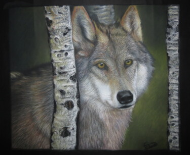 Pittura intitolato "Wolf in the forest" da Emre Demir, Opera d'arte originale, Pastello