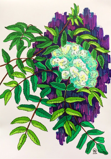 Рисунок под названием "Цветок рябины. Скет…" - Larissa Lukaneva, Подлинное произведение искусства, Маркер