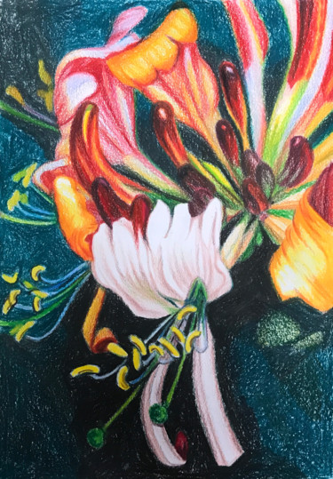 Рисунок под названием "Цветок жимолости" - Larissa Lukaneva, Подлинное произведение искусства, Карандаш