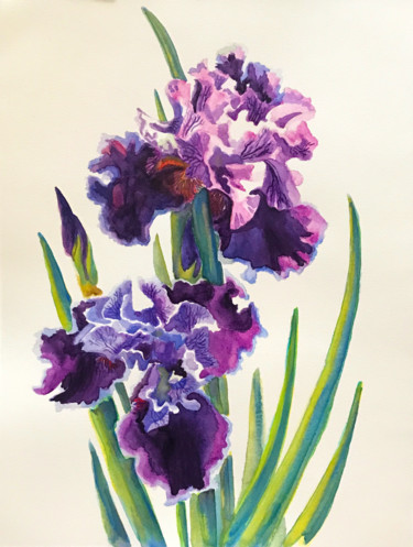 Рисунок под названием "Фиолетовые ирисы" - Larissa Lukaneva, Подлинное произведение искусства, Акварель