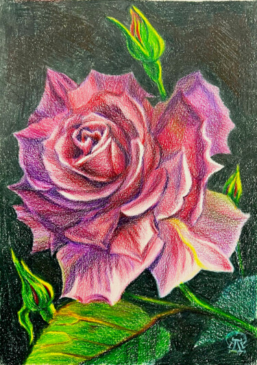 Dessin intitulée "Розовая роза. Скетч." par Larissa Lukaneva, Œuvre d'art originale, Crayon
