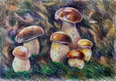 Drawing titled "Белые грибы. Скетч." by Larissa Lukaneva, Original Artwork, Pencil