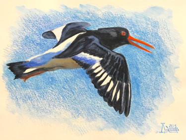 Drawing titled "The Oyster Catcher" by Larissa Lukaneva, Original Artwork, Watercolor