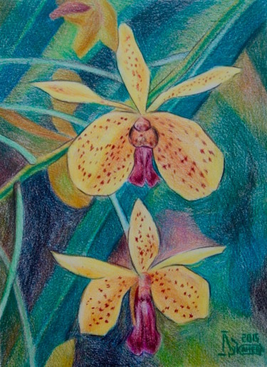 Disegno intitolato "Yellow Orchids" da Larissa Lukaneva, Opera d'arte originale, Matita