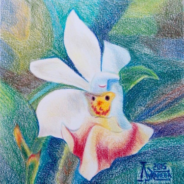 Dessin intitulée "Фаленопсис 4" par Larissa Lukaneva, Œuvre d'art originale, Crayon