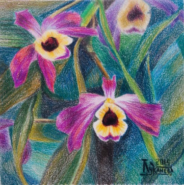 Dessin intitulée "Dendrobium" par Larissa Lukaneva, Œuvre d'art originale, Crayon