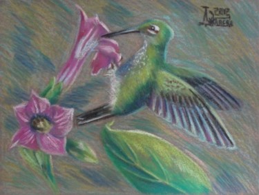 Drawing titled "Humming Bird" by Larissa Lukaneva, Original Artwork, Other