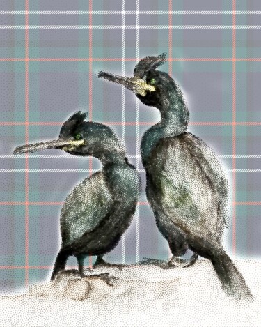 Shags on Rocks. 2nd Edition Digital Arts titled "Shags on Rocks. 2nd…" by Endruma, Original Art, 2D Digital Work
