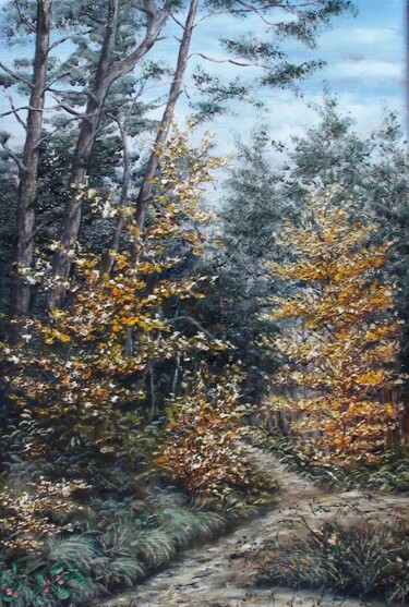 Painting titled "FORET CEVENOLE" by Enio Maccazzola, Original Artwork, Oil