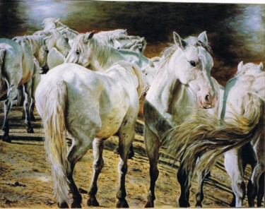 Peinture intitulée "061-les-camarguais-…" par Enio Maccazzola, Œuvre d'art originale, Huile