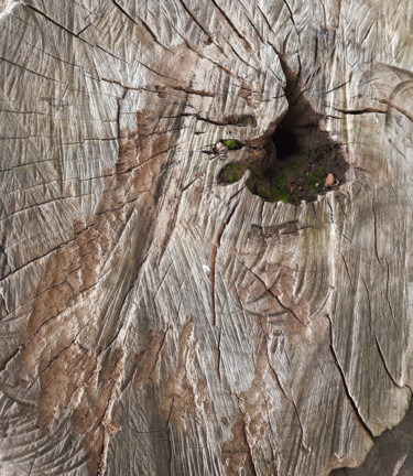 Photographie intitulée "Wood - A - #artists…" par Enki Oko, Œuvre d'art originale, Photographie non manipulée