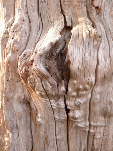 Photographie intitulée "Wood - P - #artists…" par Enki Oko, Œuvre d'art originale, Photographie non manipulée