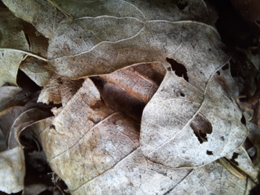 Photographie intitulée "Nature Morte - 001…" par Enki Oko, Œuvre d'art originale, Photographie non manipulée