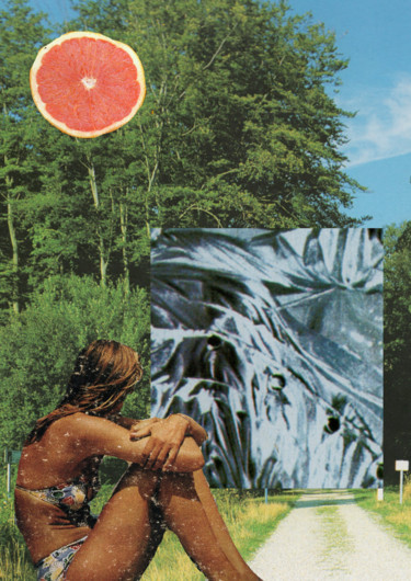 Collages intitulée "Essence de Pamplemo…" par Enric Chalaux, Œuvre d'art originale