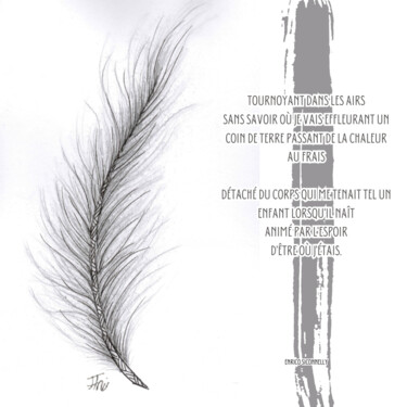 Arts numériques intitulée "La plume" par Enrico Siconnelly, Œuvre d'art originale, Travail numérique 2D