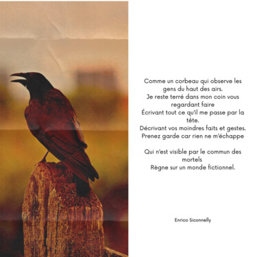 Arts numériques intitulée "Tel un corbeau" par Enrico Siconnelly, Œuvre d'art originale, Photo montage