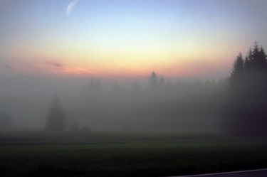 Fotografie mit dem Titel "Abendlicht im Wald" von Dirk Dahlmann, Original-Kunstwerk, Nicht bearbeitete Fotografie