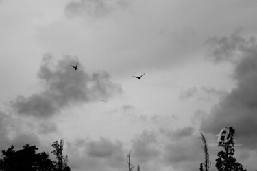 Photography titled "Deux oiseaux" by Erealpha, Original Artwork, Non Manipulated Photography