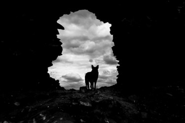 Photographie intitulée "Clouds and Wolf" par Eren Çevik, Œuvre d'art originale