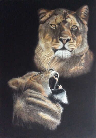 Schilderij getiteld "Les lionnes" door Eric Delesalle, Origineel Kunstwerk, Pastel