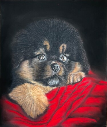 Painting titled "Tendre petit chiot" by Eric Delesalle, Original Artwork, Pastel