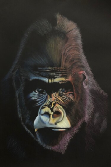 Painting titled "Le gorille" by Eric Delesalle, Original Artwork, Pastel