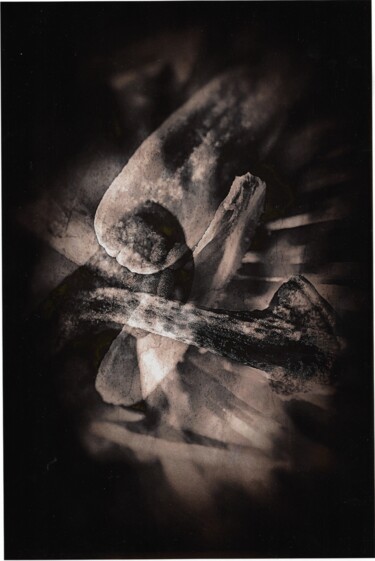 Fotografie mit dem Titel "Sortilège" von Eric Delouche, Original-Kunstwerk, Digitale Fotografie Auf Aluminium montiert