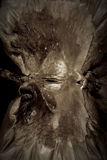 Photographie intitulée "Bal masqué à Venise" par Eric Delouche, Œuvre d'art originale, Photographie numérique