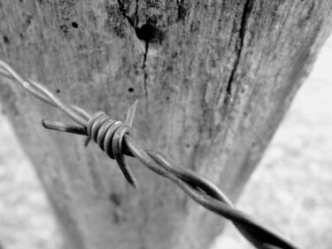 Photography titled "Barbed Wire" by Eric L Vadé, Original Artwork, Digital Photography