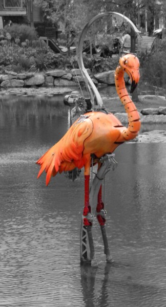 Photographie intitulée "Flamand Rose" par Eric L Vadé, Œuvre d'art originale, Photographie numérique