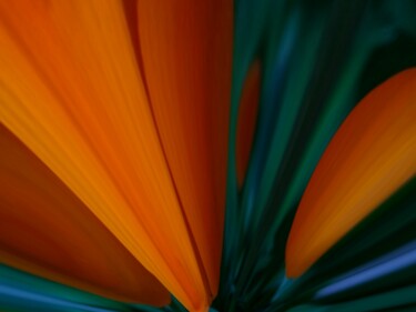 Фотография под названием "Tulips" - Eric L Vadé, Подлинное произведение искусства, Манипулированная фотография