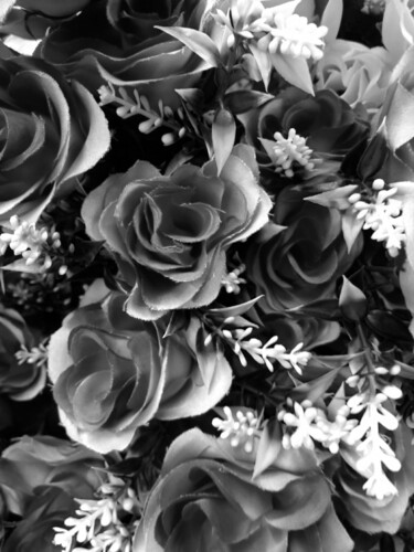 Photographie intitulée "Roses" par Eric L Vadé, Œuvre d'art originale, Photographie numérique