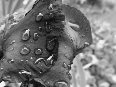 Fotografie mit dem Titel "Pluie et Iris" von Eric L Vadé, Original-Kunstwerk, Nicht bearbeitete Fotografie