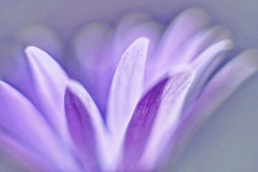 Photography titled "весна VII" by Eric L Vadé, Original Artwork, Digital Photography