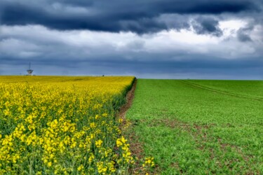 Photography titled "Spring Fields II" by Eric L Vadé, Original Artwork, Digital Photography