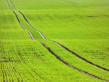 Photography titled "Spring Fields IV" by Eric L Vadé, Original Artwork, Digital Photography