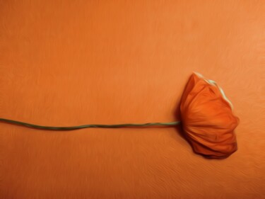 Photography titled "Orange On Orange" by Eric L Vadé, Original Artwork, Manipulated Photography