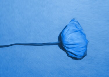 Photography titled "Blue On Blue" by Eric L Vadé, Original Artwork, Manipulated Photography