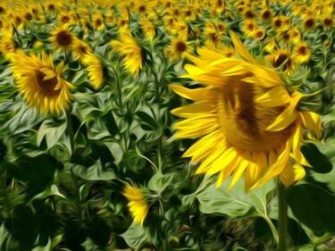 Photography titled "Girasoles" by Eric L Vadé, Original Artwork, Manipulated Photography