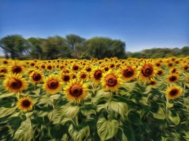 Photographie intitulée "Sonnenblumen" par Eric L Vadé, Œuvre d'art originale, Photographie manipulée