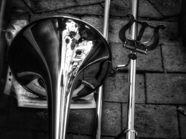 Photographie intitulée "Trumpeeter" par Eric L Vadé, Œuvre d'art originale, Photographie numérique
