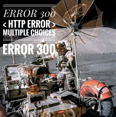 Digital Arts titled "ERROR 300 !!" by Eric L Vadé, Original Artwork, Digital Collage